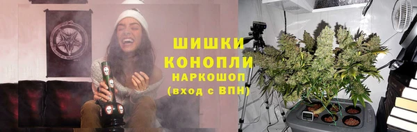 ПСИЛОЦИБИНОВЫЕ ГРИБЫ Бронницы